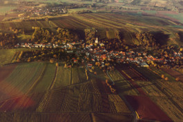 Weingut Baumberger